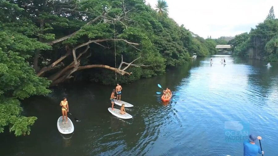 Oahu: North Shore Haleiwa Paddleboard River Adventure - Best timing and useful planning tips