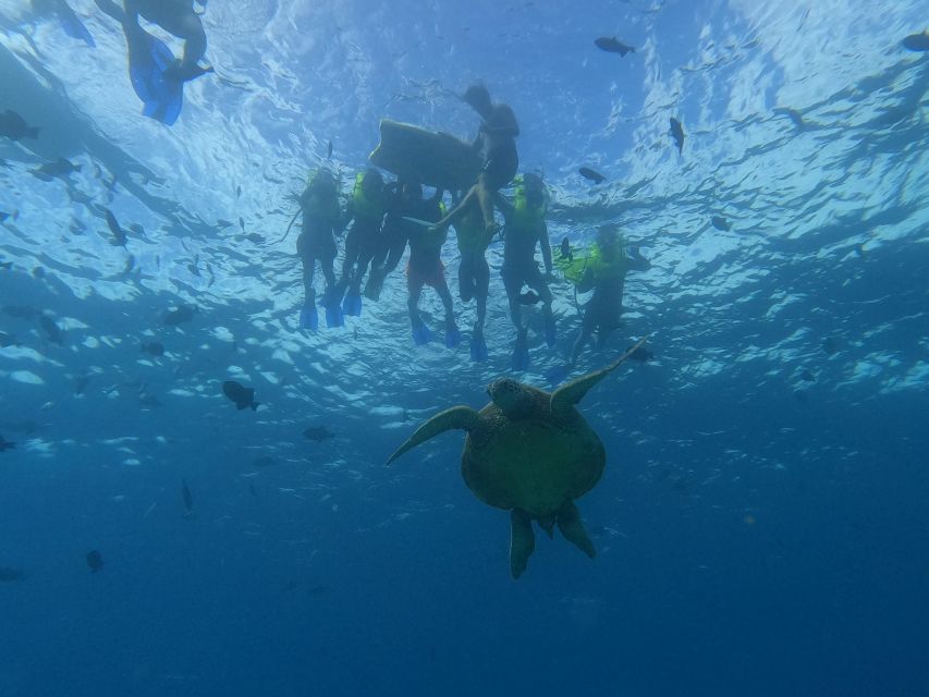 Oahu Snorkeling with Turtles, Water Scooter, Paddleboard - From Waikiki Pickup to the Catamaran