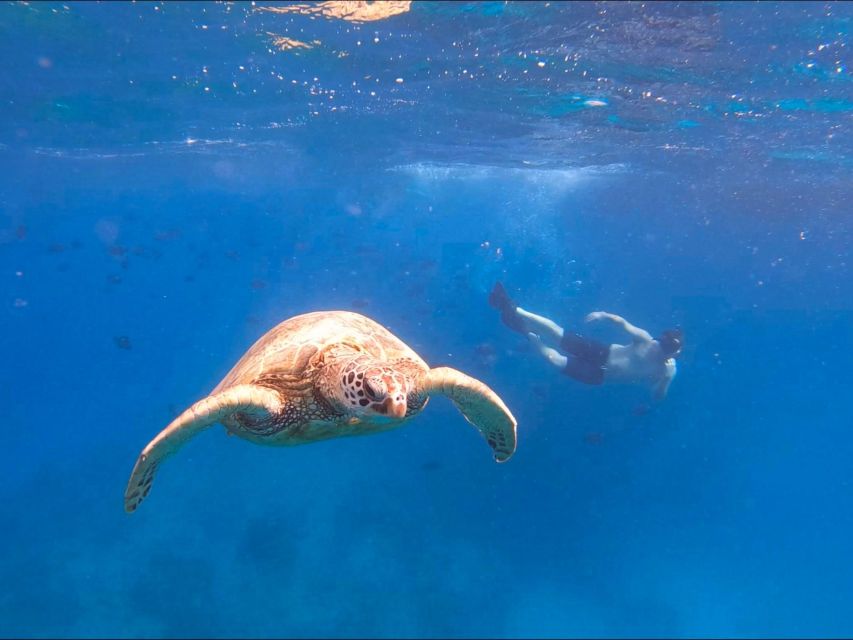 Oahu Snorkeling with Turtles, Water Scooter, Paddleboard - Paddleboarding Depends on Availability