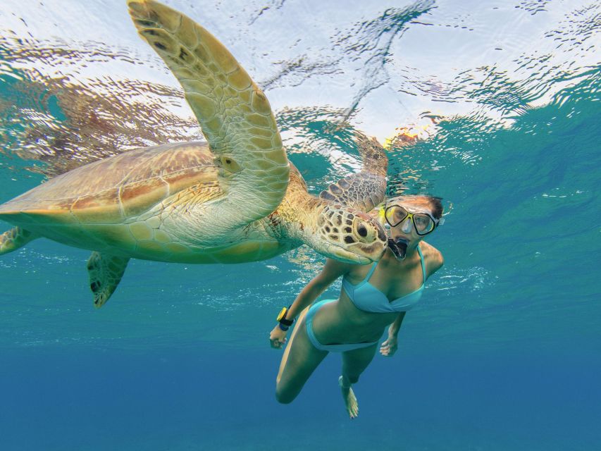 Oahu Snorkeling with Turtles, Water Scooter, Paddleboard - Who Will Enjoy This Outing Most