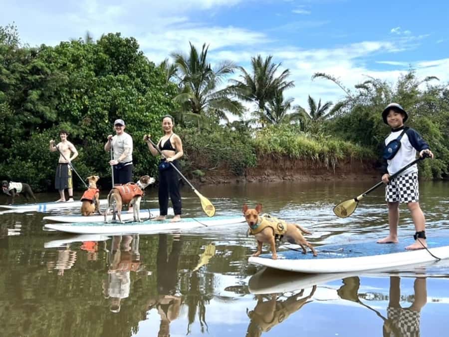 Oahu: SUPDog Experience - Paddle Board with Rescue Dogs - Key Points