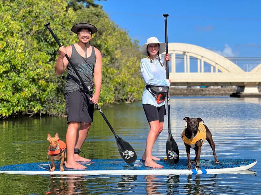 Oahu: SUPDog Experience - Paddle Board with Rescue Dogs - Why Paddleboarding With Rescue Dogs Works