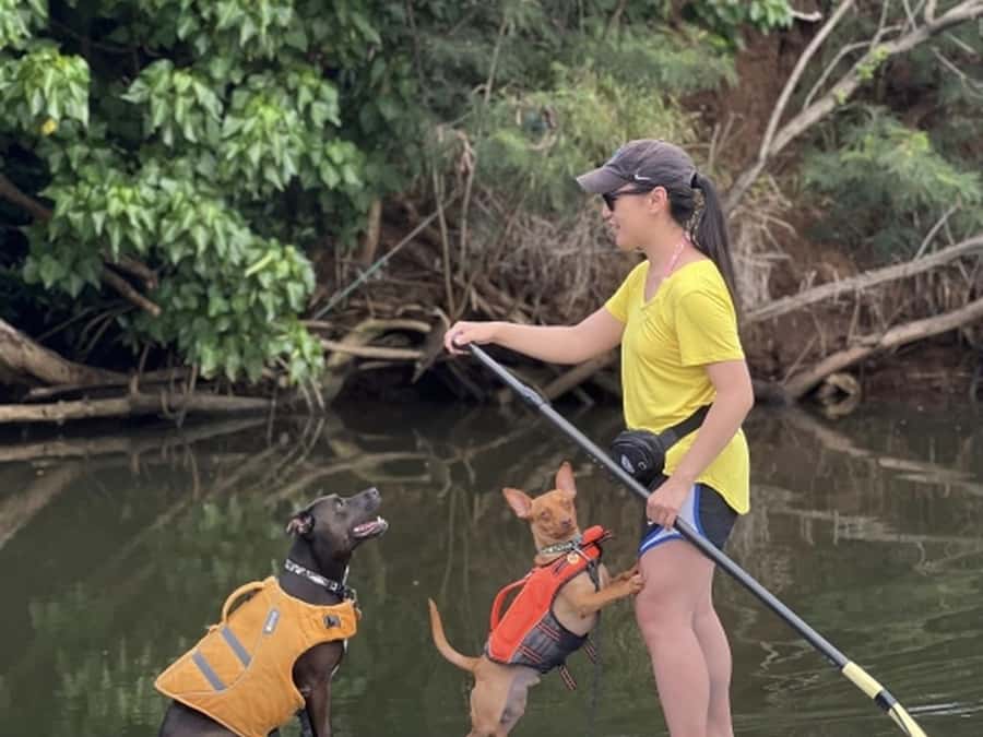 Oahu: SUPDog Experience - Paddle Board with Rescue Dogs - The Safety Briefing and Paddle Lesson