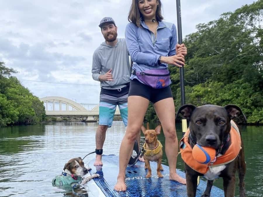 Oahu: SUPDog Experience - Paddle Board with Rescue Dogs - The $125 Question