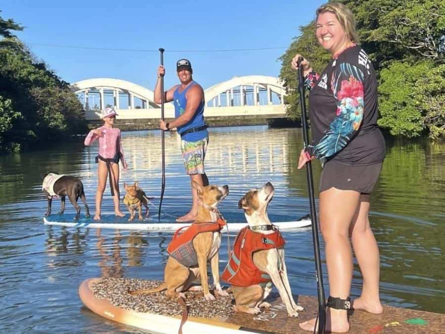 Oahu: SUPDog Experience - Paddle Board with Rescue Dogs - Who Will Enjoy This Most