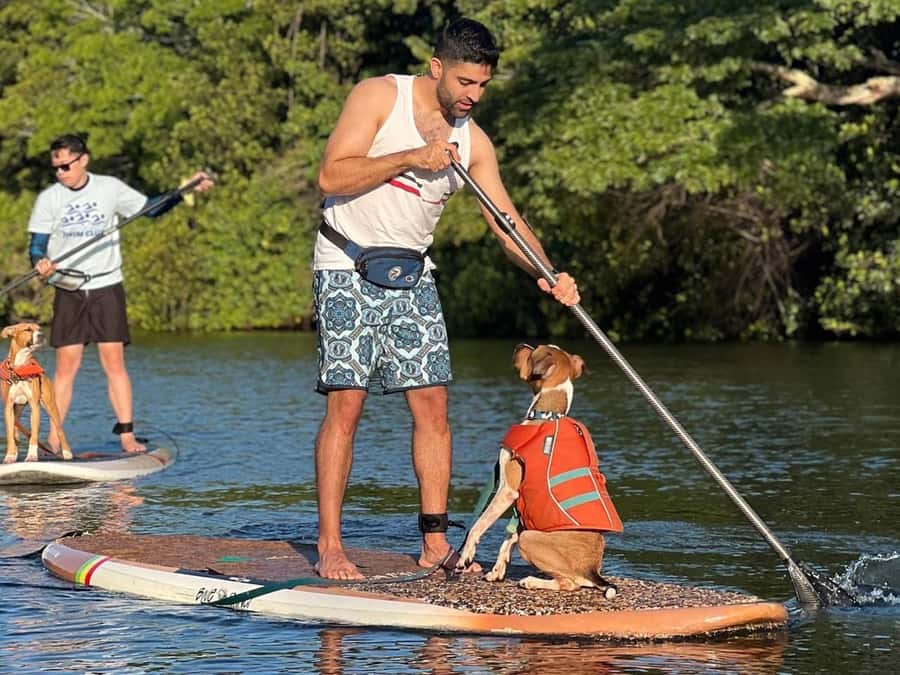 Oahu: SUPDog Experience - Paddle Board with Rescue Dogs - Starting at Blue Planet Surf Haleiwa