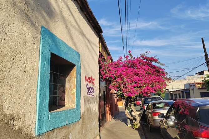 Oaxaca: Beyond the surface - The Cathedral and its stories in 30 minutes