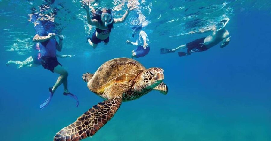 Ocean Reef Snorkeling and Paddleboarding - Paddling out from Dania Beach Pier
