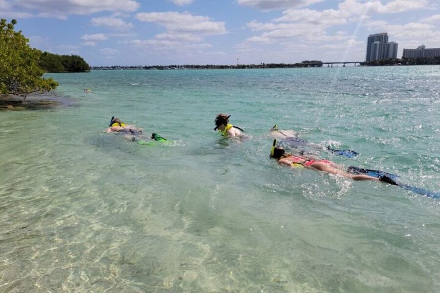 Ocean Reef Snorkeling and Paddleboarding - Who will enjoy this most