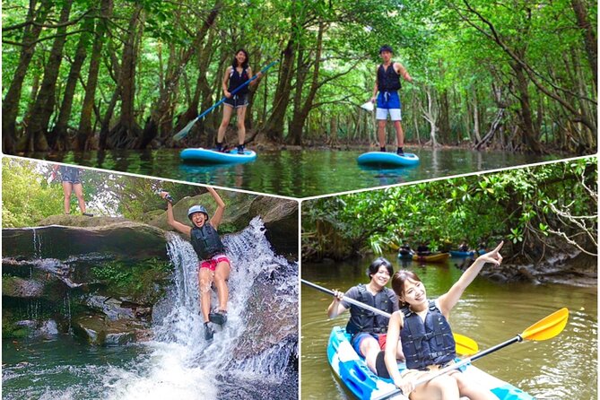 Okinawa Iriomote Mangrove SUP or Canoe and Splash Canyoning Tour - Key points to know before booking