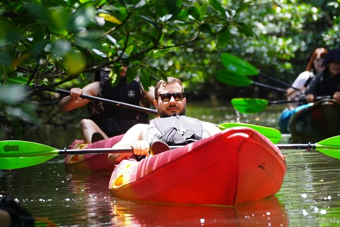 Okinawa Iriomote Mangrove SUP or Canoe and Splash Canyoning Tour - What makes the mangroves worth your time