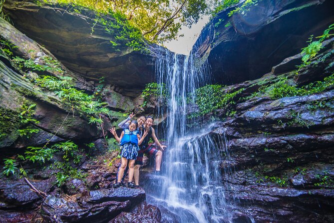 Okinawa Iriomote Mangrove SUP or Canoe Tour - Key points to know before you book