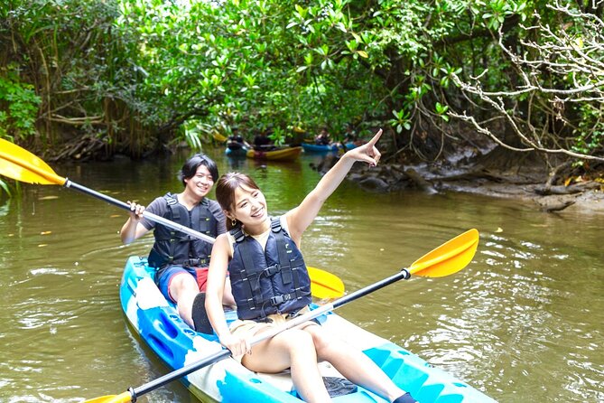 Okinawa Iriomote Mangrove SUP or Canoe Tour - Why a mangrove river is the right place to learn