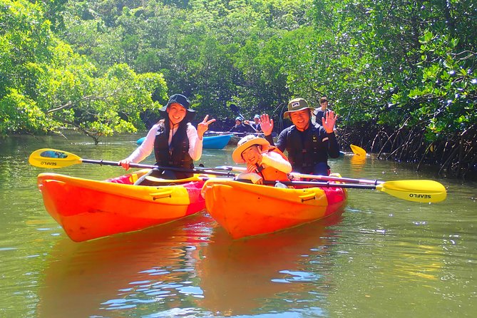 Okinawa Iriomote Mangrove SUP or Canoe Tour - Rain, wind, and the island’s changing weather
