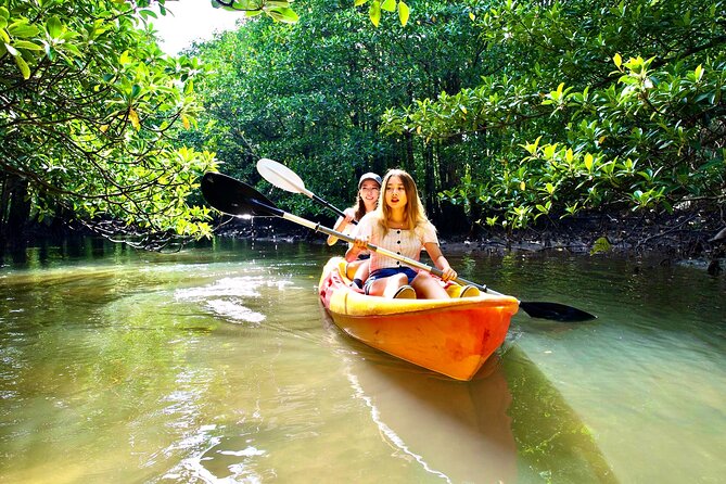 Okinawa Iriomote Mangrove SUP or Canoe Tour - Free photos and what they add