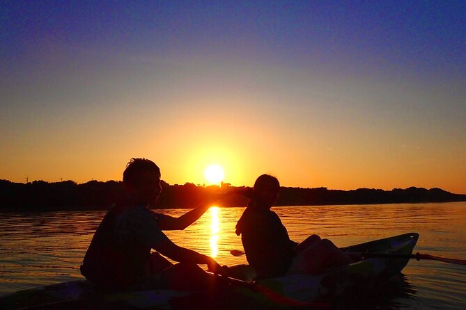 Okinawa Iriomote Sunrise SUP/Canoe Tour in Iriomote Island - Paddling through a sheltered mangrove river