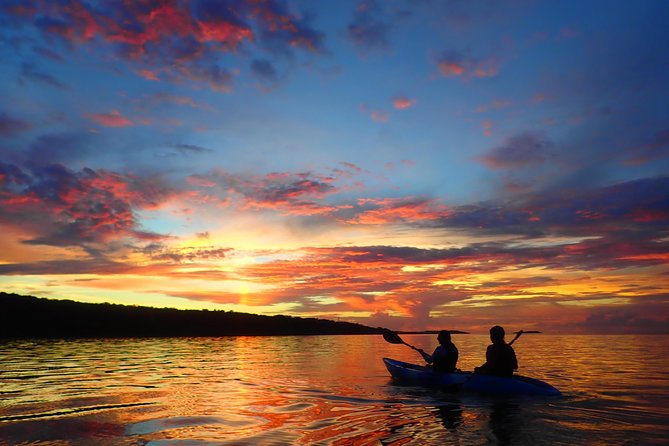 Okinawa Iriomote Sunrise SUP/Canoe Tour in Iriomote Island - Who should book this sunrise paddle