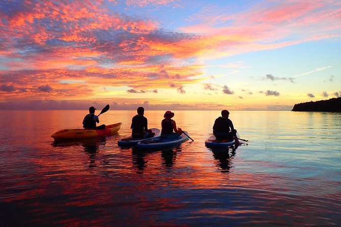 Okinawa Iriomote Sunset SUP or Canoe Tour in Iriomote Island - From Densa Terminal to the Mangrove River