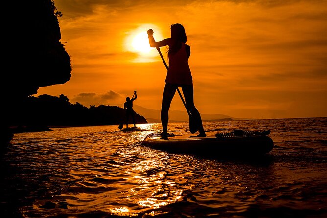 Okinawa Iriomote Sunset SUP or Canoe Tour in Iriomote Island - Choosing Between SUP and Canoe
