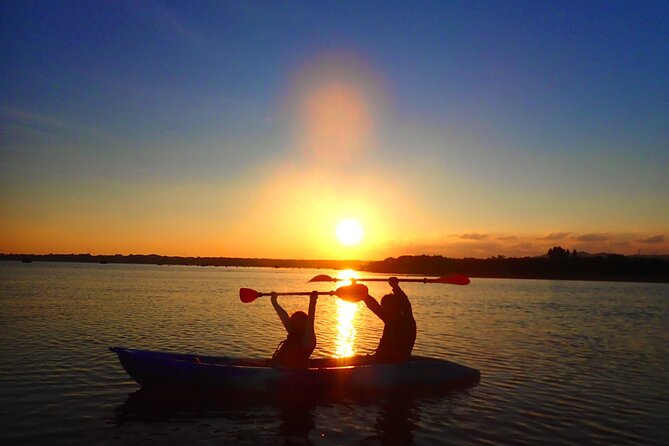 Okinawa Iriomote Sunset SUP or Canoe Tour in Iriomote Island - What the Mangroves Add to the Tour