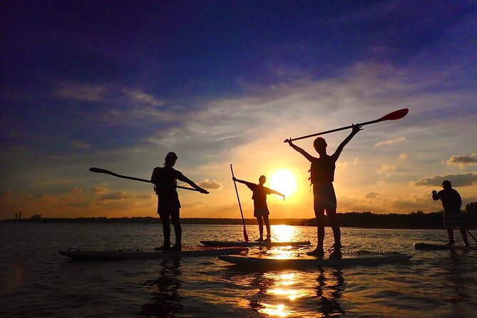 Okinawa Iriomote Sunset SUP or Canoe Tour in Iriomote Island - Guides, Teaching, and Group Feel