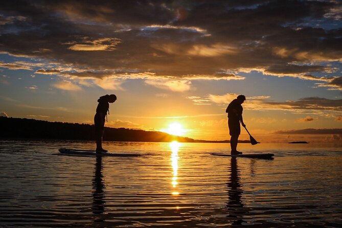 Okinawa Iriomote Sunset SUP or Canoe Tour in Iriomote Island - Price and What You Get for $56.09