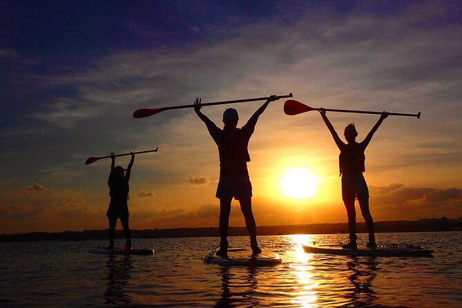 Okinawa Iriomote Sunset SUP or Canoe Tour in Iriomote Island - Who Should Book This Iriomote Sunset Paddle