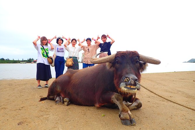 Okinawa Iriomote SUP or Canoe and Sightseeing in Yubujima Island - What to wear and what to bring