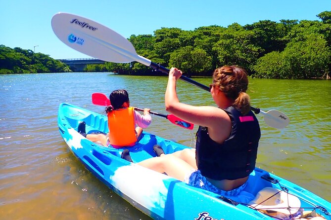 Okinawa Ishigaki Mangrove SUP or Canoe Tour - Key points before you book