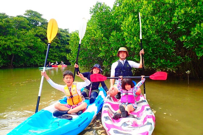 Okinawa Ishigaki Mangrove SUP or Canoe Tour - A quiet paddle through Ishigaki’s mangroves