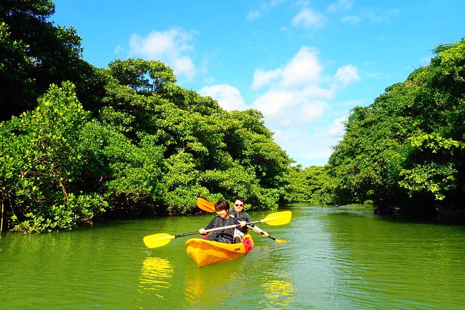 Okinawa Ishigaki Mangrove SUP or Canoe Tour - The Ishigaki-jima stop and what it really means