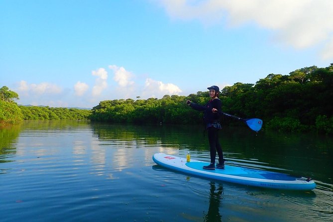 Okinawa Ishigaki Mangrove SUP or Canoe Tour - Guides, language, and the human side of the tour