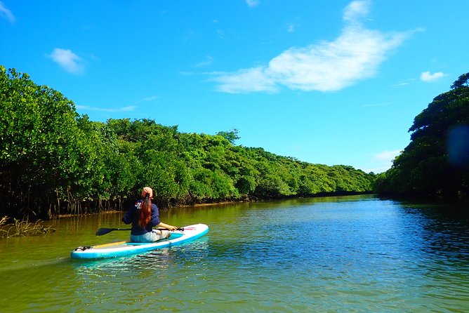 Okinawa Ishigaki Mangrove SUP or Canoe Tour - Weather, cancellation, and the right clothes