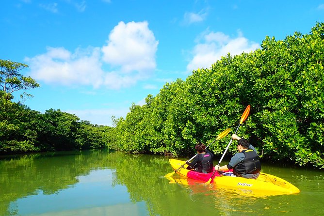 Okinawa Ishigaki Mangrove SUP or Canoe Tour - Who will enjoy this Miyara River tour most