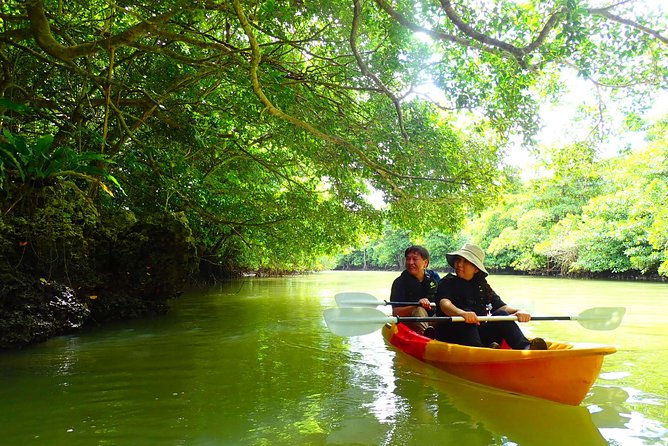 Okinawa Ishigaki Mangrove SUP or Canoe Tour - What happens at Miyara River Hirugi Grove