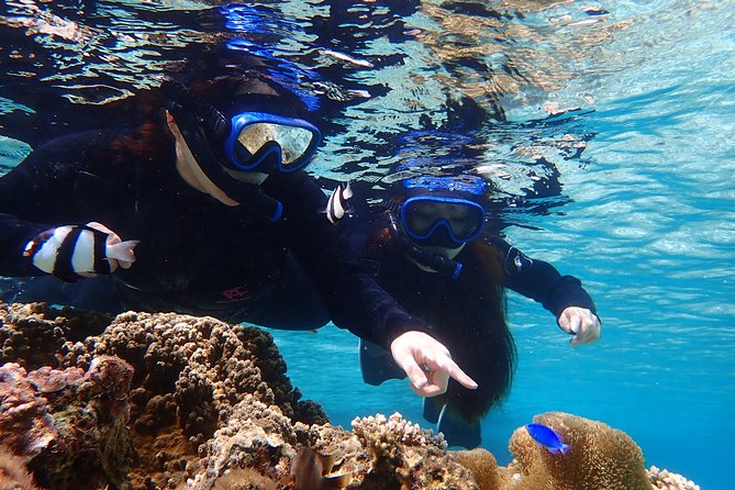 Okinawa Miyako 3set Beach SUP, Snorkeling,Pumpkin Cave,Canoeing - Is $130.78 good value for a seven-hour day?