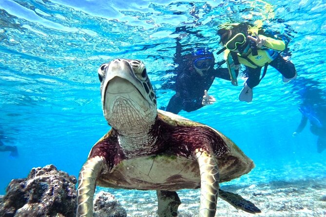 Okinawa Miyako Beach SUP or Canoe and sea turtle Snorkeling - Why this Miyakojima water day works well