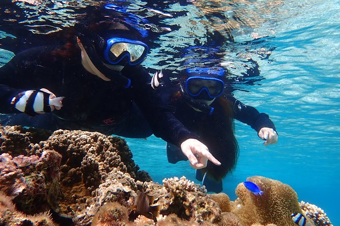 Okinawa Miyako Beach SUP or Canoe and sea turtle Snorkeling - Meeting point and practical preparation