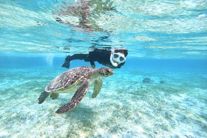 Okinawa Miyako Beach SUP or Canoe and sea turtle Snorkeling - Choosing SUP or canoe on Miyakojima