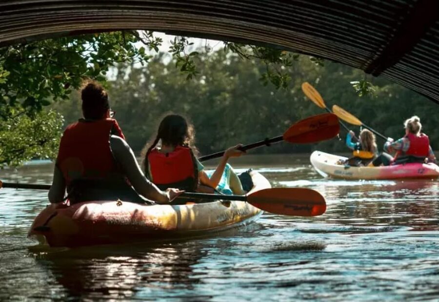 Oleta River State Park: Eco Kayak or Paddleboard Tour - What the 2.5-hour route feels like