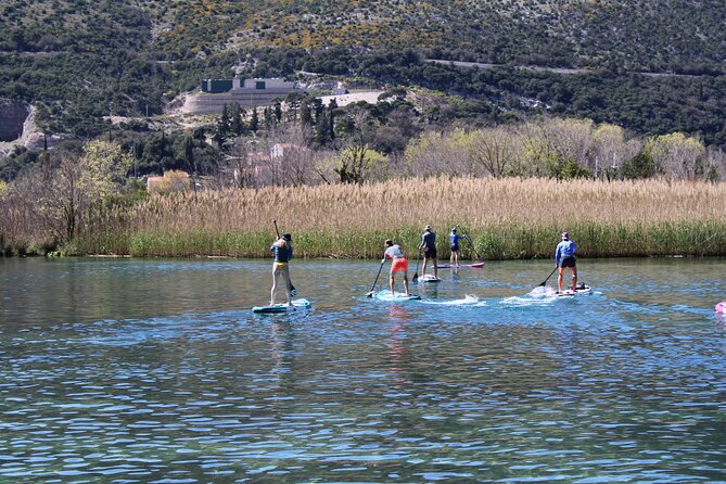 Ombla river Paddleboarding tour in Dubrovnik with snacks - Learning the basics before the river route
