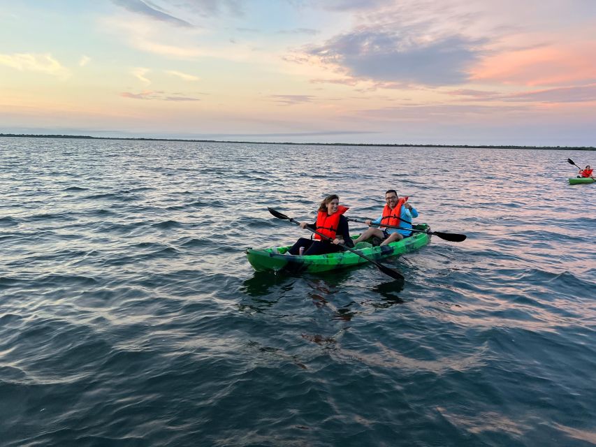 Orlando: Bioluminescence Clear Kayaking or Paddleboarding - Key Points to Know Before You Paddle