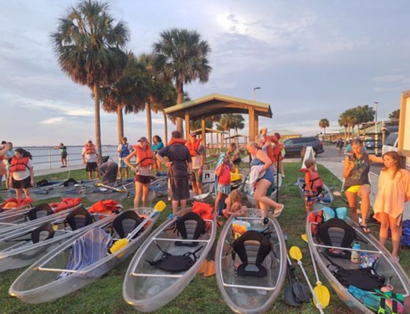 Orlando: Bioluminescence Clear Kayaking or Paddleboarding - What the Bioluminescence Looks Like in Real Life