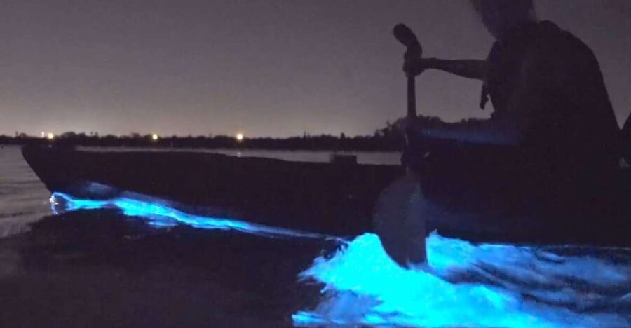 Orlando: Bioluminescence Clear Kayaking or Paddleboarding - Starting at Kiwanis Island Park