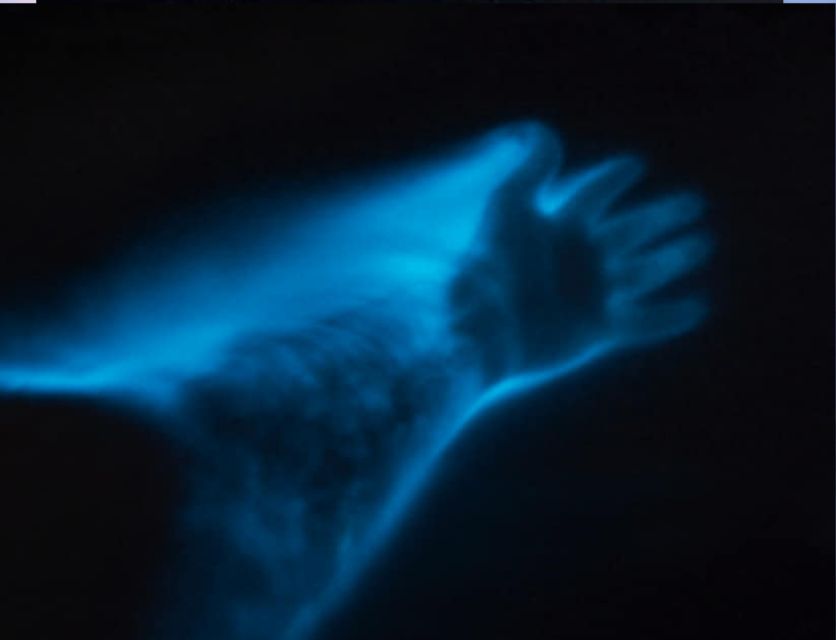 Orlando: Bioluminescence Clear Kayaking or Paddleboarding - Picking the Right Vessel