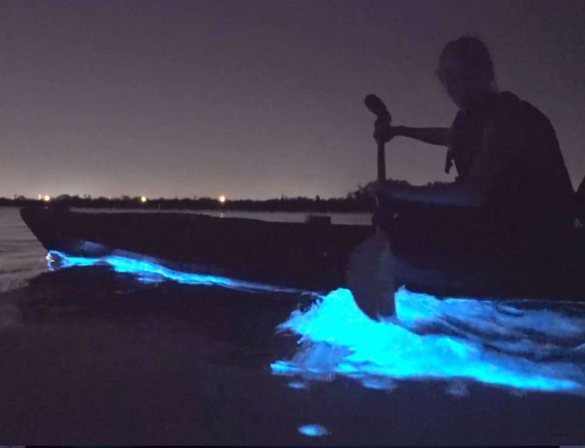 Orlando: Bioluminescence Clear Kayaking or Paddleboarding - Sunset Colors, Shallow Water, and Wildlife