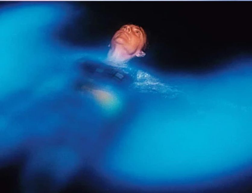 Orlando: Bioluminescence Clear Kayaking or Paddleboarding - Dinoflagellates and Comb Jellies