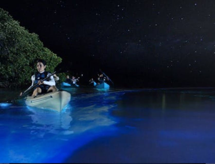 Orlando: Bioluminescence Clear Kayaking or Paddleboarding - Choosing Between Sunset and Stargazing