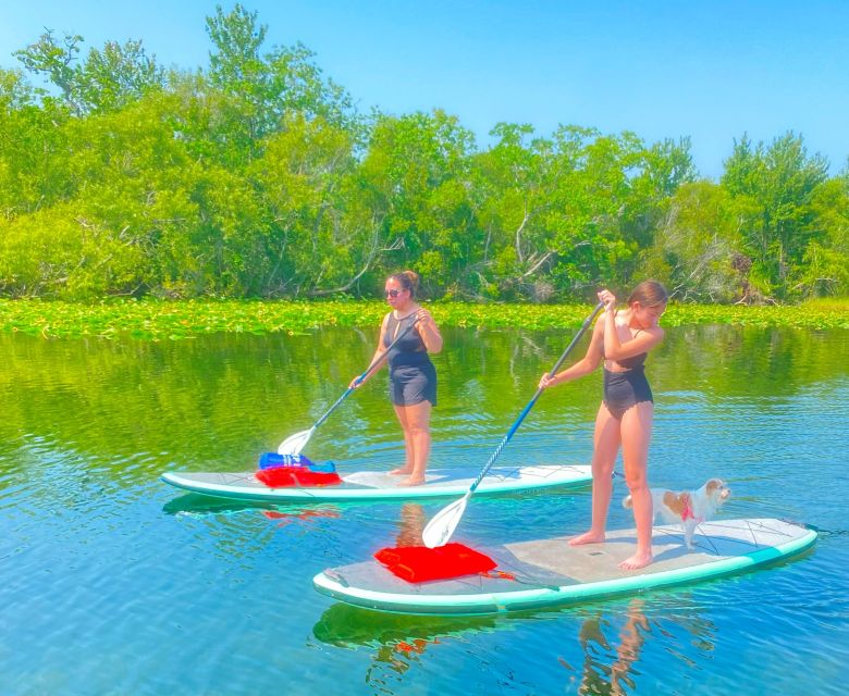 Orlando: Clear Kayak and Paddleboard 2-Hour Rental - Who should book this lake outing
