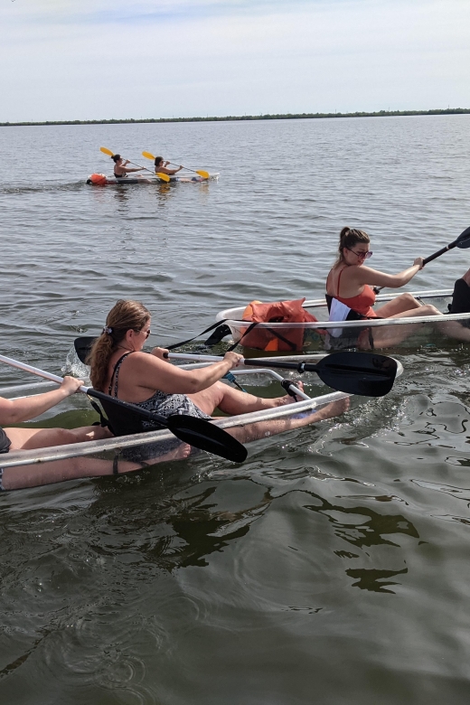 Orlando: Dolphin Clear Kayak or Paddle Board Adventure - Weather, clothing, and practical comfort